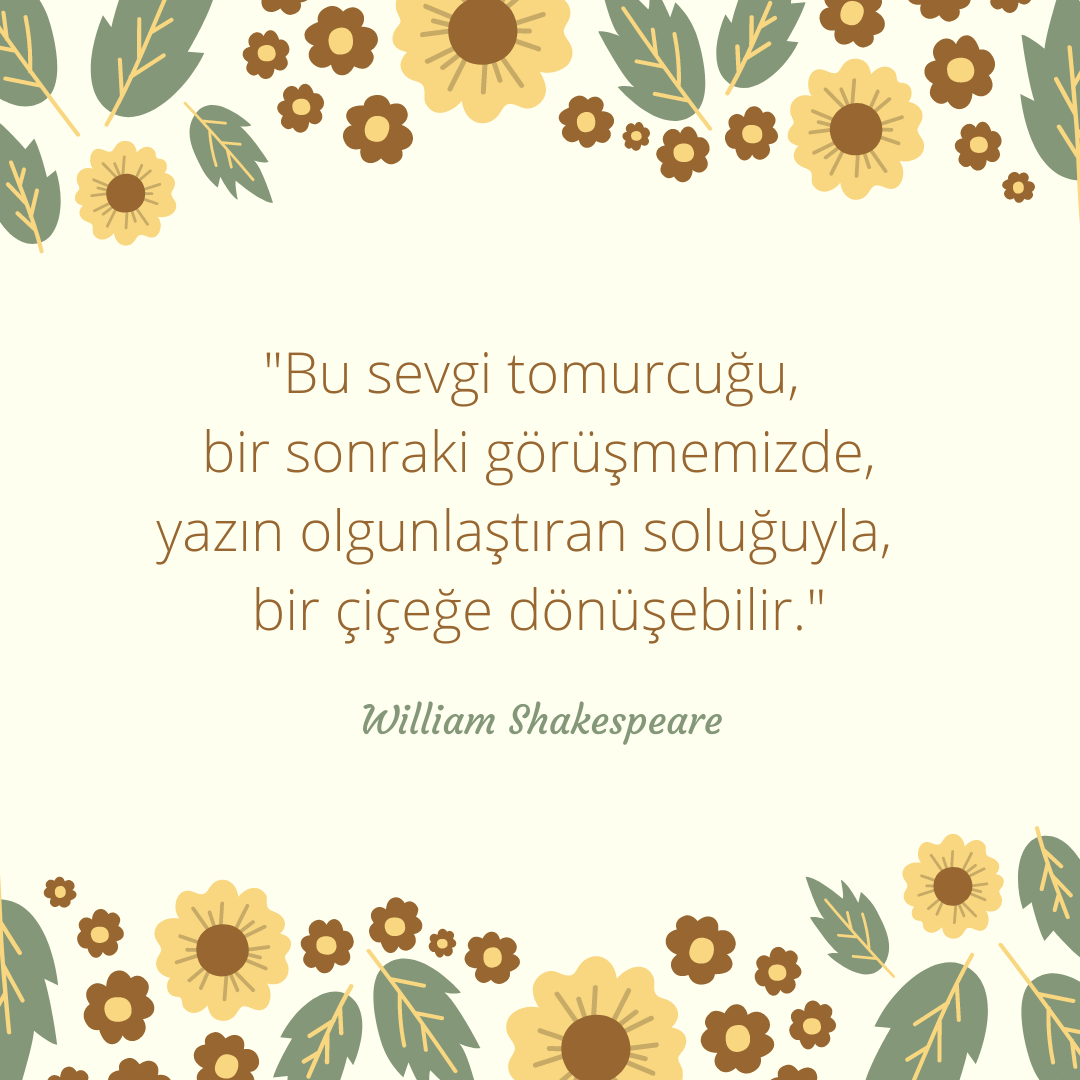 Resim