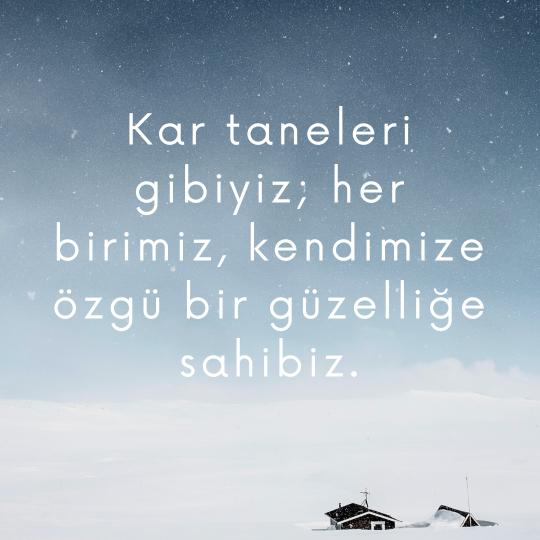 Resim